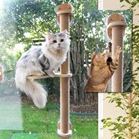 Hamac double niveau pour chat à fixer aux fenêtres, avec ventouses et base en bois, pour grands chats et familles multi-chats, avec coussins