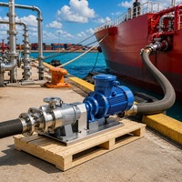 Pompe Sanitaire à Double Vis 25 m³/h 1,4 MPa à Moteur à Engrenages Basse Vitesse pour Cosmétiques et Pharmaceutiques Certifiée CE Fabricant