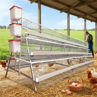Avicultura de gallinas ponedoras de 4 niveles tipo batería para la producción de huevos