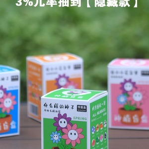 Boîte secrète de plantes en pot miniature pour enfants, kit de culture intérieur, cadeau de verdure pour le bureau - Product Image 2