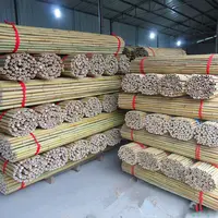 Pommeau de bambou à bras long, hongkin naturel, pour un arbre agricole, support en bambou moso