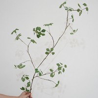 Chinesischer Künstlicher Pflanzenranken-Zweig mit Kwan-Yin-Lotusblättern, Zen-inspiriertes Hochzeitsblumenarrangement, Plastikblumen 100-200cm