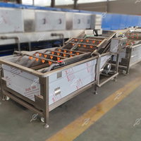 Middelgrote ultrasone ozonwasmachine met paddenstoelvormige belletjes voor het wassen van groenten en fruit