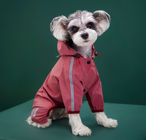 Veste de pluie pour petit chien pour toutes les saisons, imperméable réfléchissant avec capuche pour <span class=keywords><strong>Teddy</strong></span>, Bichon, chiot - Product Image 5