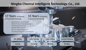 Options de matériaux de moulage sous pression de précision personnalisées disponibles, répondant à des exigences structurelles complexes - Product Image 4