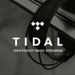 Tidal Premium แพ็กเกจเพลง Tidal 12 เดือน บัญชีสมาชิก Tidal Hifi Plus 1 ปี - Product Image 2
