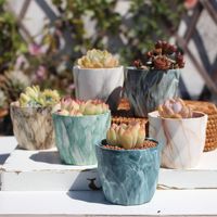 Pot de fleurs en céramique marbrée OEM, pot en céramique, jardinière, décoration d'intérieur, pots de fleurs de luxe