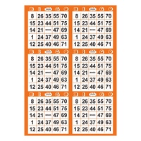 Tarjetas de Bingo Reutilizables de Papel Premium, Datos Variables, Multicolor, Impresión Digital, Tarjetas de Bingo Personalizadas