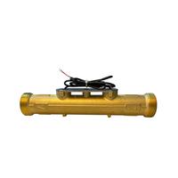 Compteur d'eau ultrasonique résidentiel DN25 à raccord fileté, protection IP68, corps de capteur en laiton personnalisable OEM
