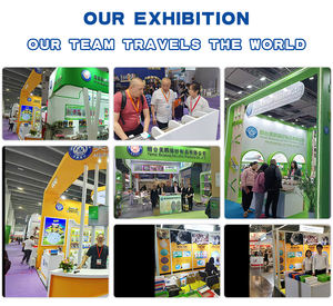 فضلات القطط بالجملة خالية من الغبار وقوية الالتصاق 100% طبيعية برائحة اللافندر مزيلة للروائح الكريهة من البنتونيت المتكتل - Product Image 3