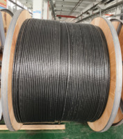 U1000 R2V RVFV 0,6/1KV Kupferleiter-Stromkabel mit Stahlbandarmierung Mehradriges Stromkabel