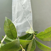 Sacs à fermeture éclair pour légumes, perforés et respirants, taille personnalisée, impression en héliogravure numérique, matériaux compostables CPP/OPP/PE/PLA
