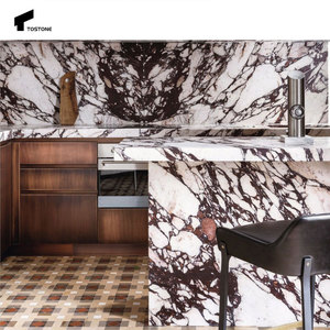 Tostone tự nhiên CALCUTTA Viola phiến đá cẩm thạch 20mm khách sạn hiện đại phòng tắm vòi sen Tường Bảng điều khiển toliet Vanity bàn làm việc trong nhà - Product Image 2