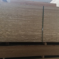 Plaques de contreplaqué en bois de tilleul filmé HAISEN 4 mm/3 mm, tailles personnalisées, anti-corrosion, résistantes à l'eau, pour usage extérieur
