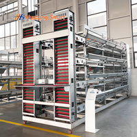 Nouvelle cage à batterie pour volailles en acier galvanisé haute performance, alimentation et abreuvement automatisés pour l'élevage moderne des poules pondeuses, longue durée de vie