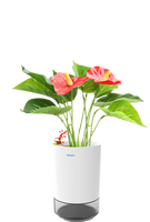 Pot Tanam Ultra-Kecil Sistem Tanaman Rumah Modern Ramah Lingkungan Pot Bunga Ramah Lingkungan untuk Bibit Hijau