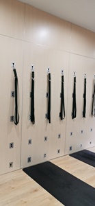 Accessori per Installazione <span class=keywords><strong>Yoga</strong></span> Wall, Sistema <span class=keywords><strong>Yoga</strong></span> Wall, Cinture per Oscillazione Pelvica, Unità Pilates Montata a Parete - Product Image 6