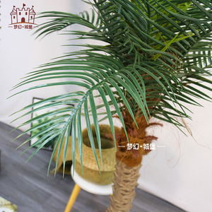 Bonsaï d'arbre de coco artificiel Dream Castle 160cm 180cm 210cm Plante décorative intérieure et extérieure - Product Image 3
