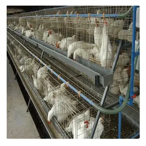 Großhandel Hühner käfig für Legehennen Preise zu verkaufen
