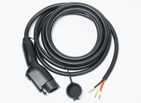 Elektrofahrzeug-Ladehalterung nach amerikanischem Standard mit Abdeckung, Kupfer-Nylon-Gehäuse, Stecker/Buchse, Hochleistungs-Adapterkabel-Baugruppe