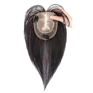 HD Lace Closure Frontal Toupee Silk Base Straight Toupee Hair Toppers Pieces For Women Human Hair Wigs