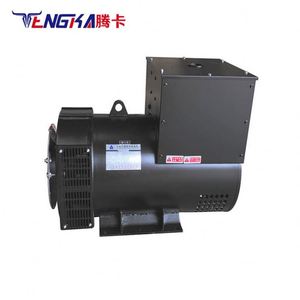 Alternador de Alta Calidad y Potencia, Totalmente de Cobre, para Uso Doméstico - Product Image 2