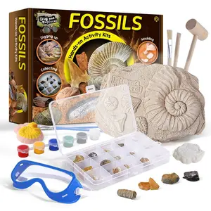 Educational Science Children's Natural Fossils Archaeological Excavation Toys