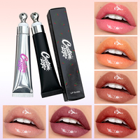Brillo de Labios Hydratant et Waterproof Longue Durée Effet Glossy – Tube Souple à Presser – Marque Blanche