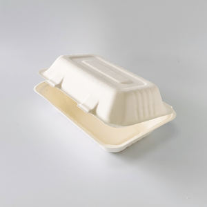 Caja Rectangular Desechable para Sushi de 9x6 Pulgadas, Fabricada con Pulpa de Bagazo de Caña de Azúcar, Modelo MP-5 - Product Image 3