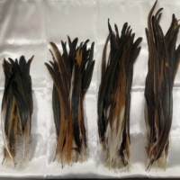 Lot de 50 Plumes de Coq Naturelles Teintées Écologiques Sans Azo Certifiées Vétérinaire pour Fêtes et Cocktails (Vente en Gros)