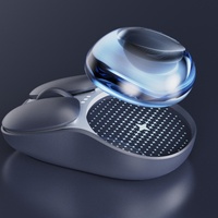 Logo personnalisé 2.4G 1600 DPI Mini souris sans fil RGB mignon 2.4GHz étanche rétro-éclairé 2.4GHz sans fil avec tapis en silicone pour Windows