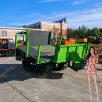 Chinesischer Raupentransporter Minidumper Diesel Benzin Raupenkipper Mini 500kg