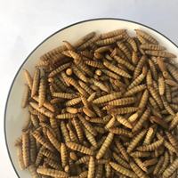 Soldat noir larves de mouches BSFL asticot séché alimentation animale vers comestibles aliments pour animaux de compagnie alimentation de volaille