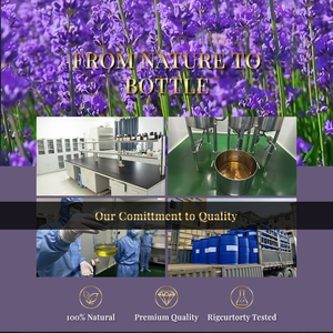 Factory Wholesale Bulk Free Sample Lavender Essential <b>Oil</b> Private Label Pure Natural Organic Top Quality Lavender <b>Oil</b> for Hair - Product Image 6