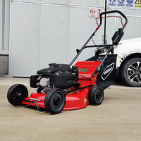 Mini tondeuse à gazon avec bac de ramassage, machine à couper l'herbe, tondeuse à pousser manuelle, tondeuse à gazon thermique autoportée