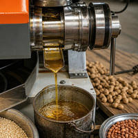 Presse à huile commerciale pour graines de ricin, moutarde, noix de coco, olive, huile de Chine, à pression à froid, pour usage domestique