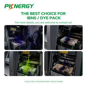 Batteria Ricaricabile agli Ioni di Litio OEM 7.4v 10400mAh 18650 per IBNS/DYE PACK - Product Image 2