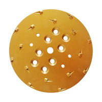 Plaque de ponçage hybride professionnelle en métal de 250 mm, 10 PCD + 6 boutons, grain grossier 60/80 pour l'élimination de la colle époxy épaisse et la préparation des sols