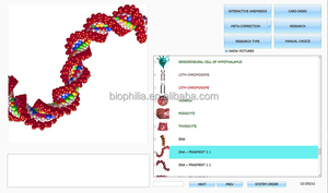 เครื่องมือบำบัดด้วยการสัมผัสสำหรับสัตว์เลี้ยง ปี 2026 รุ่นใหม่ ได้รับใบรับรอง CE ผลิตในจีน รองรับหลายภาษา - Product Image 5
