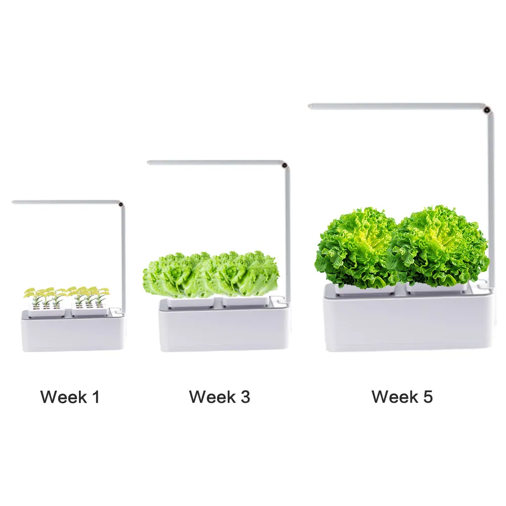 Meist verkaufte Artikel Pflanzen bewässerung Smart Indoor Garden mit LED Grow Light