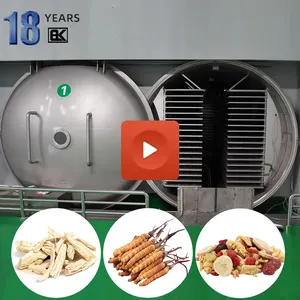 BLK 2000KGS ty vacuum freeze drying machine food lyophilizer flowers matech machine industrial vacuum freeze and drying machine