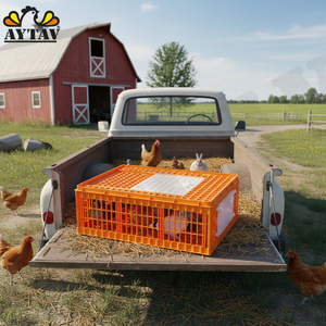 Nouvelles cages de transport pour poulets avec portes latérales supérieures en PE, capacité de 10 à 14 poulets -20°C à +80°C toutes saisons - Product Image 3