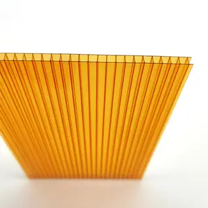 Hoge Kwaliteit Onbreekbaar Dubbel Gelaagde 6Mm Oranje Decoratief Plastic Polycarbonaat Plaat Voor Bruiloft