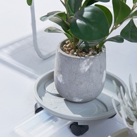 Chariot à roulettes rond en plastique robuste pour plantes, déplaceur de pots de fleurs avec roues