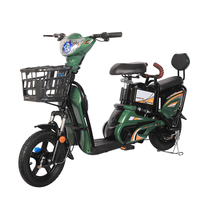 Vélo électrique abordable 350W sans balais, longue autonomie, pneus sous vide 14"*250, batterie 48V/12AH, 50km d'autonomie pour une utilisation écologique