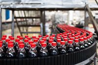 Machine de remplissage automatique d'eau gazeuse/boissons gazeuses 5000-6000 BPH avec capacité de 2L - Fabricant