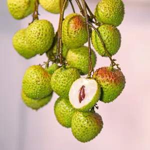 Купить китайские Свежие Личи свежие фрукты цена (Fi Tsz Siu)