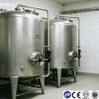 Tanque de Maduración para Producción de Extracto de Café SS304 con Certificación ASME y CE, 500-3000L, con Control de Temperatura, Doble Pared, Directo de Fábrica