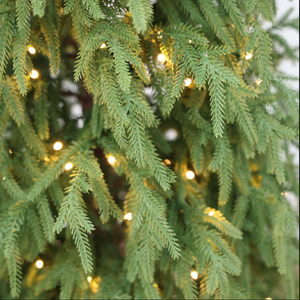 <span class=keywords><strong>Sapin</strong></span> de Noël artificiel pré-éclairé de 2,13 m (7 pieds) en PE à 100 % avec base décorative spéciale et lumières LED chaudes pour la décoration intérieure des fêtes - Product Image 4