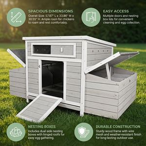 Grand poulailler en bois pour l'extérieur, cage à volailles avec 2 nichoirs latéraux - Product Image 2